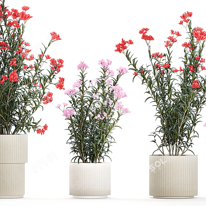 Modern White Pot Plant Collection 3D model image 3