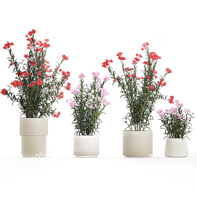 Modern White Pot Plant Collection 3D model image 5