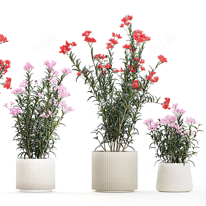 Modern White Pot Plant Collection 3D model image 6