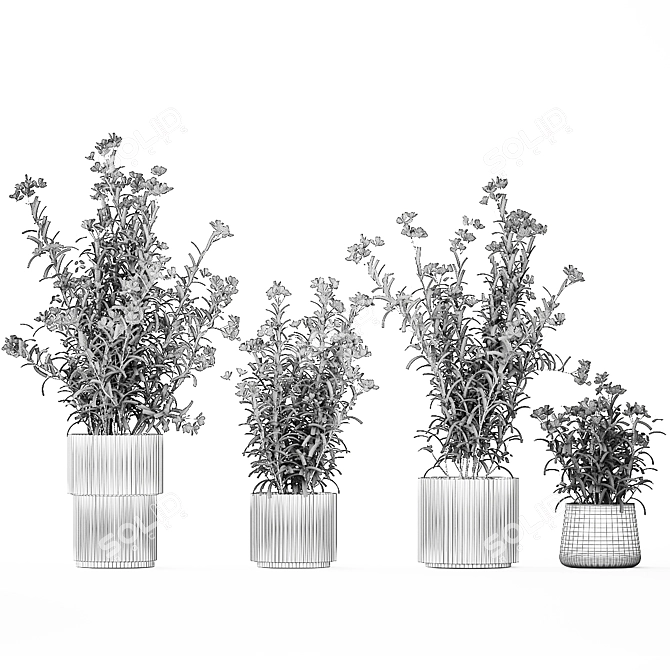 Modern White Pot Plant Collection 3D model image 7