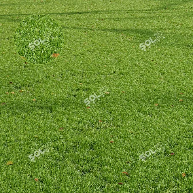 Summer Park 3D Model Set 3D model image 1