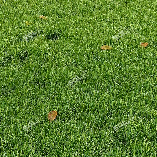 Summer Park 3D Model Set 3D model image 2