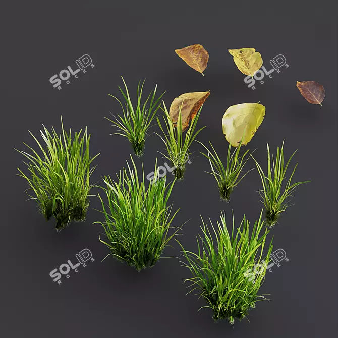 Summer Park 3D Model Set 3D model image 3