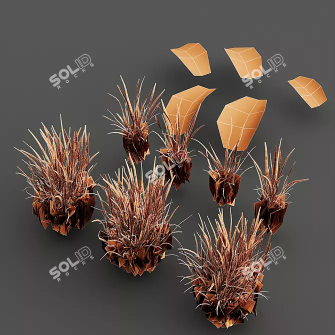 Summer Park 3D Model Set 3D model image 4