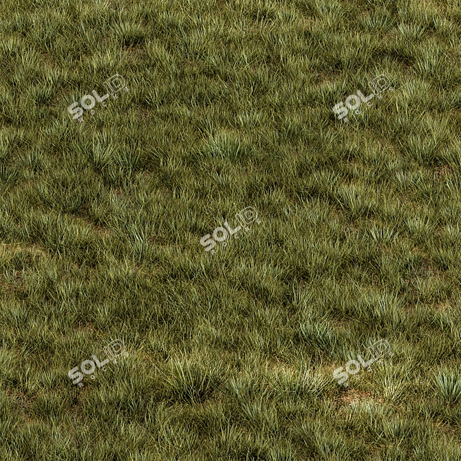 Rectangular Manually Scatter Grass 3D model image 1