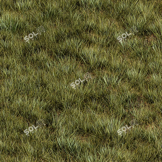 Rectangular Manually Scatter Grass 3D model image 2