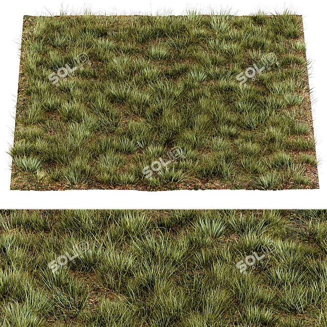 Rectangular Manually Scatter Grass 3D model image 3