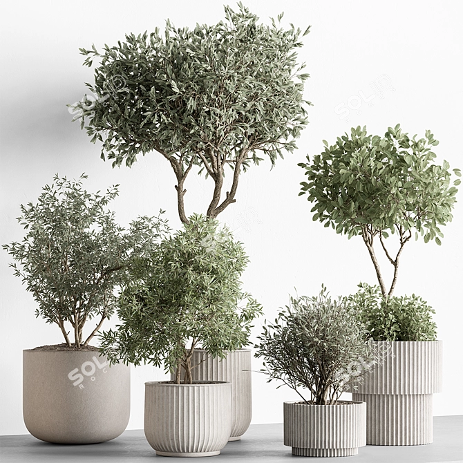 Indoor Tree Plant in Pot 3D model image 1