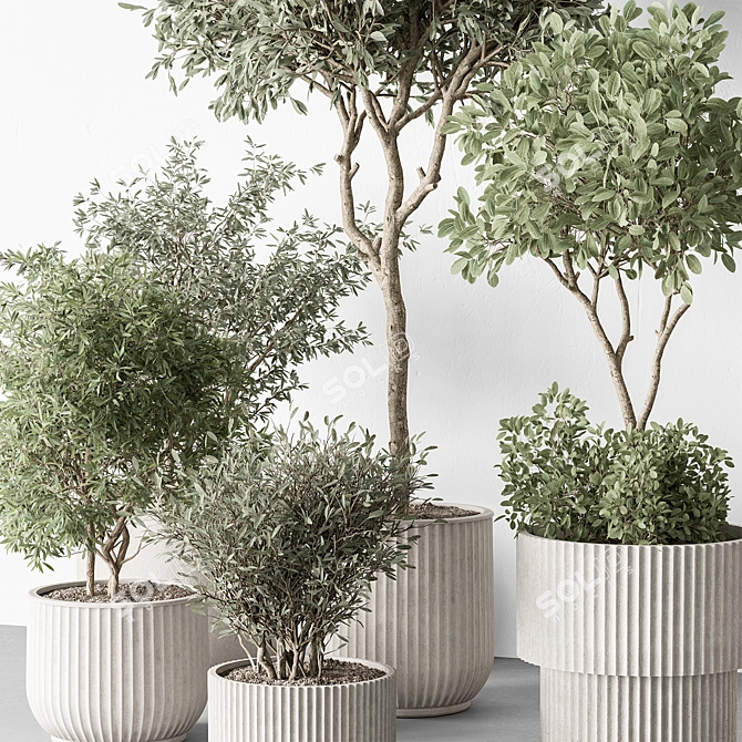 Indoor Tree Plant in Pot 3D model image 3