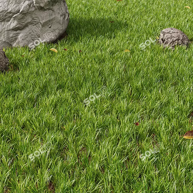 3D Park Summer Scene Bundle 3D model image 2