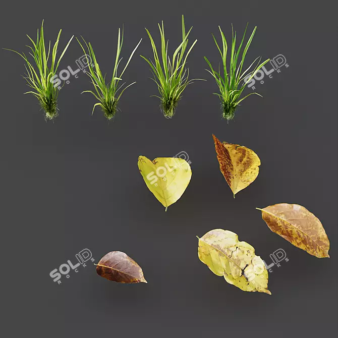 3D Park Summer Scene Bundle 3D model image 3