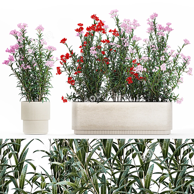 Modern White Planter Rose & Red Oleander Set 3D model image 1