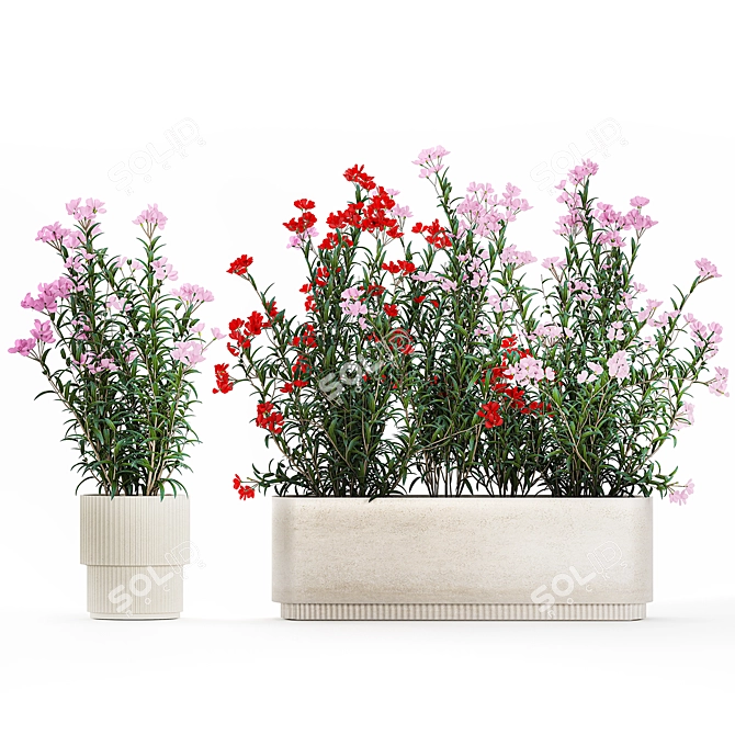 Modern White Planter Rose & Red Oleander Set 3D model image 6