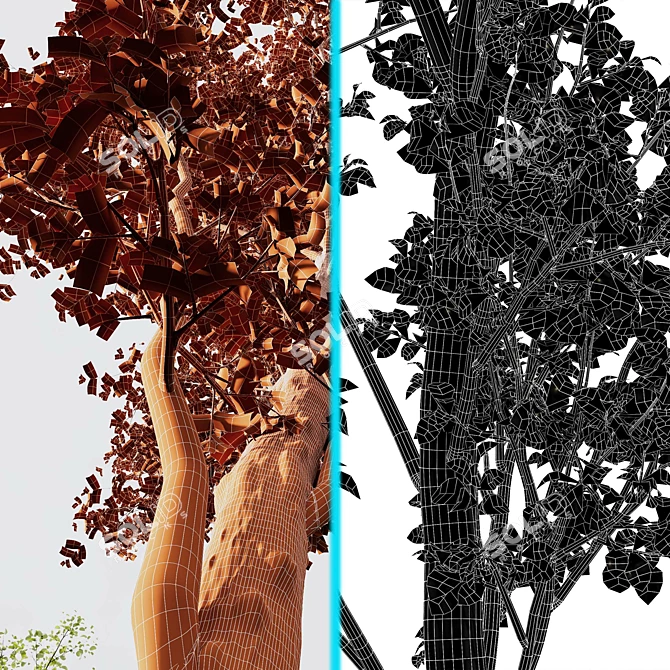 Alnus Glutinosa 3D Models Collection 3D model image 7