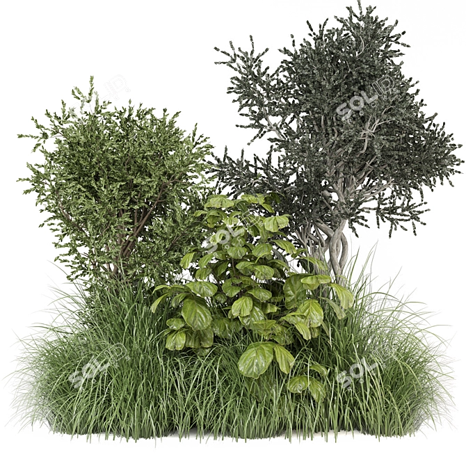 Corona Outdoor Bush Plants Set 3D model image 1