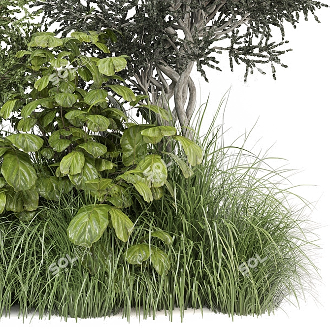 Corona Outdoor Bush Plants Set 3D model image 2