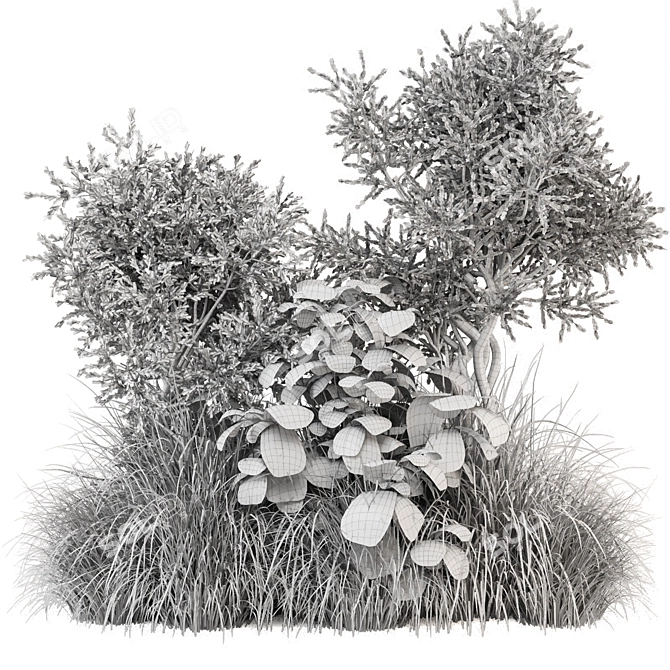 Corona Outdoor Bush Plants Set 3D model image 6