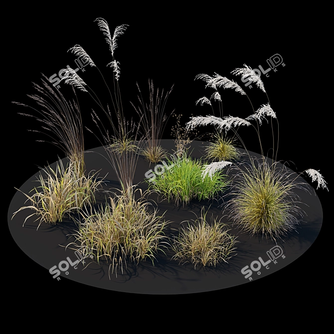  Meadow 13 Scatter Plants Scene 3D model image 4