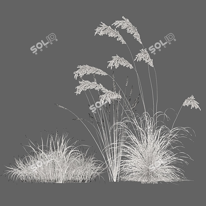  Meadow 13 Scatter Plants Scene 3D model image 5