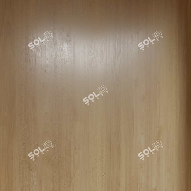 Seamless Wood Material for 3D 3D model image 2