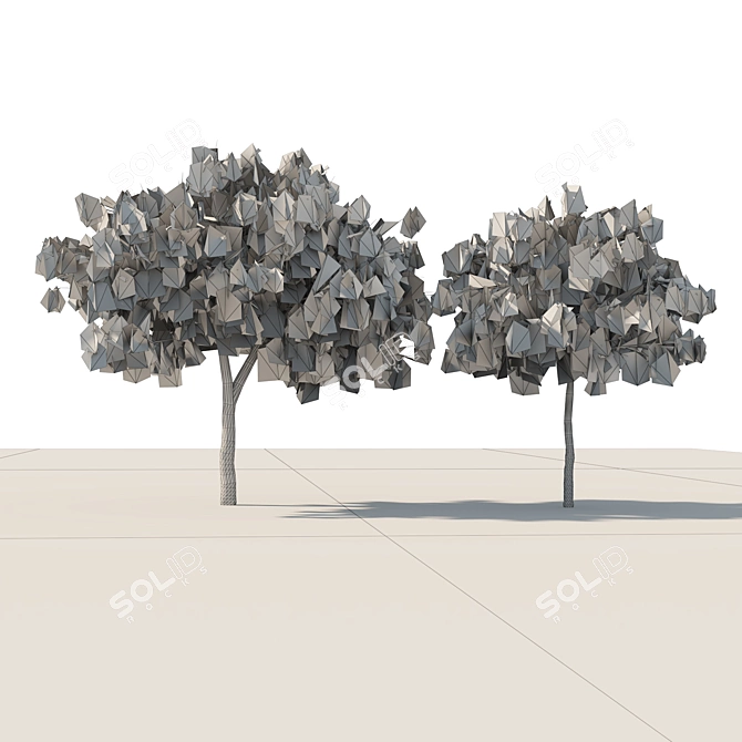 Emirates Ghaf Trees 3D Model 3D model image 4