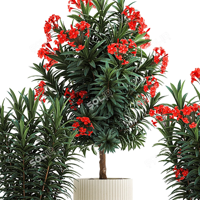 Red Flowering Oleander Collection 3D model image 6