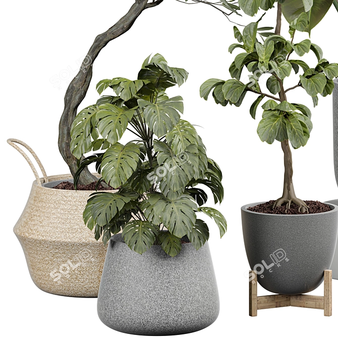 Interior Plant Collection 2015 3D model image 2