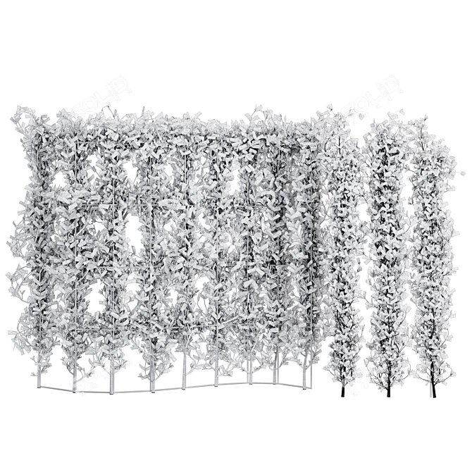 Dual Ivy Plant 3D Models 3D model image 4
