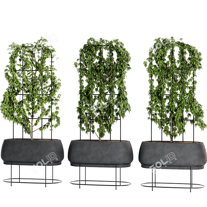 Ivy Plant Set07 3D Model 3D model image 2