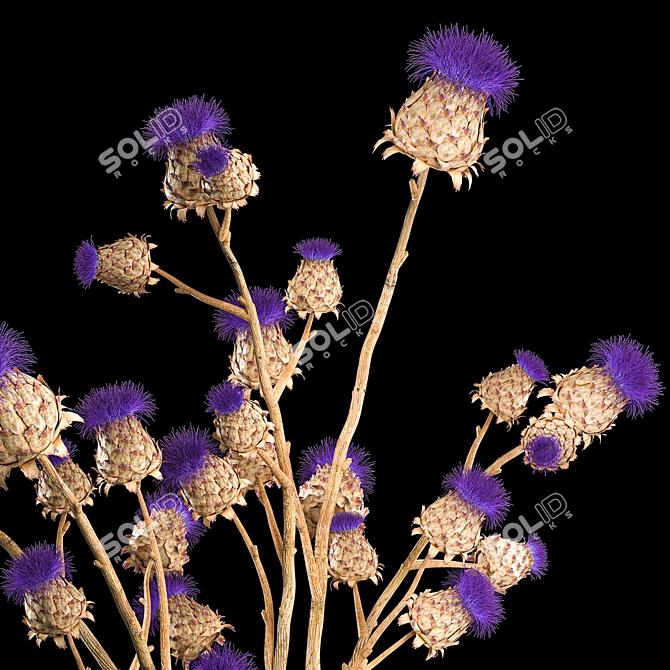 Modern Thistle Bouquet in Glass Vase 3D model image 3