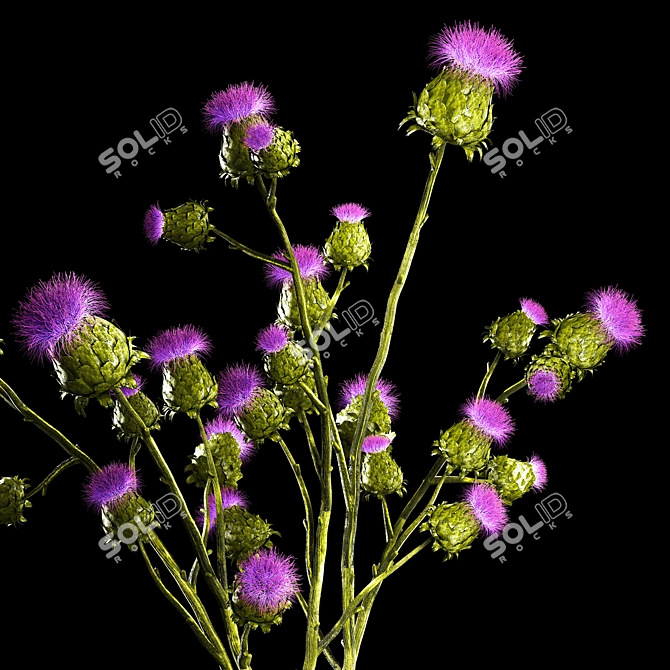 Green Thistle Bouquet in Modern Glass Vase 3D model image 4