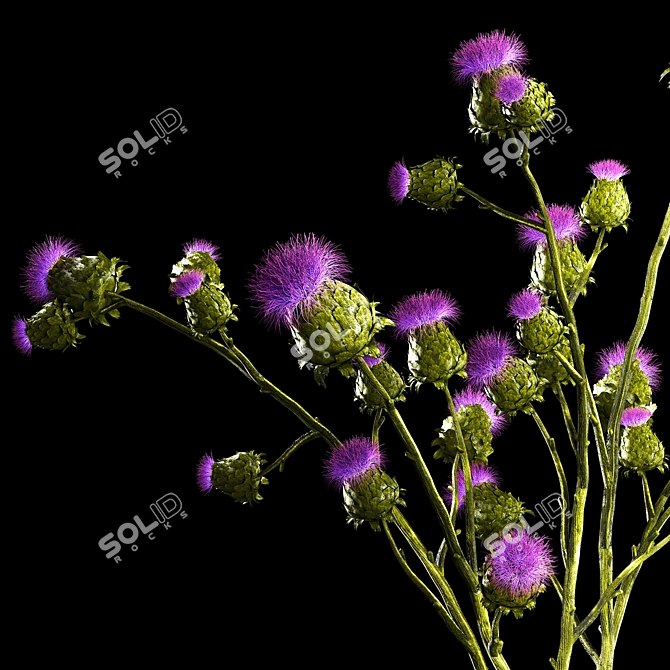 Green Thistle Bouquet in Modern Glass Vase 3D model image 6