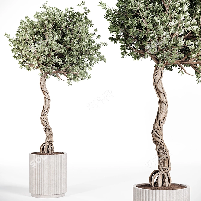 Vintage Olive Tree 3D Model 3D model image 1