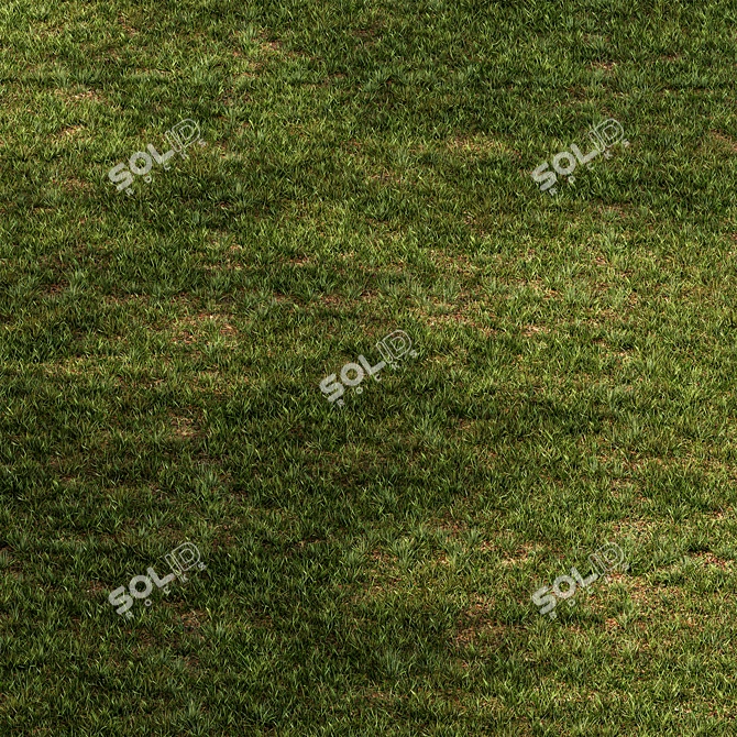 Rectangular Short Grass Set 26 3D model image 1