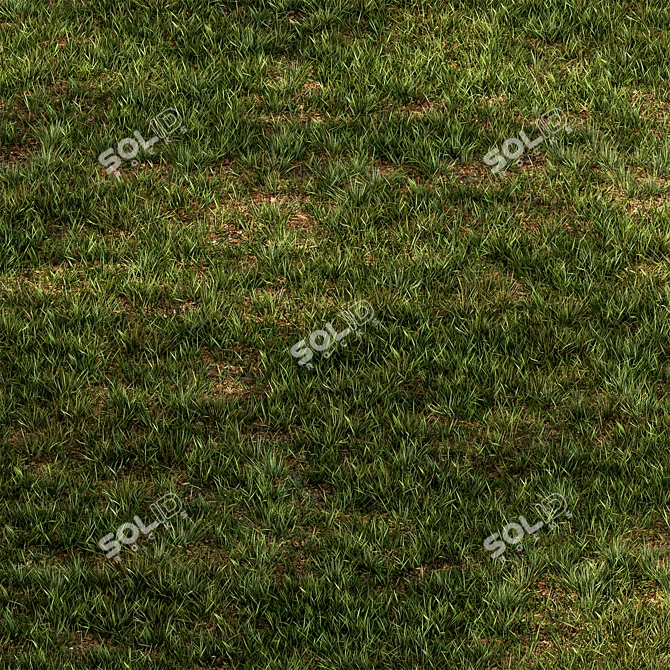 Rectangular Short Grass Set 26 3D model image 2