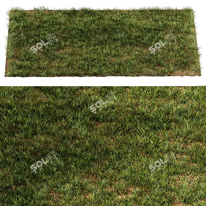 Rectangular Short Grass Set 26 3D model image 4