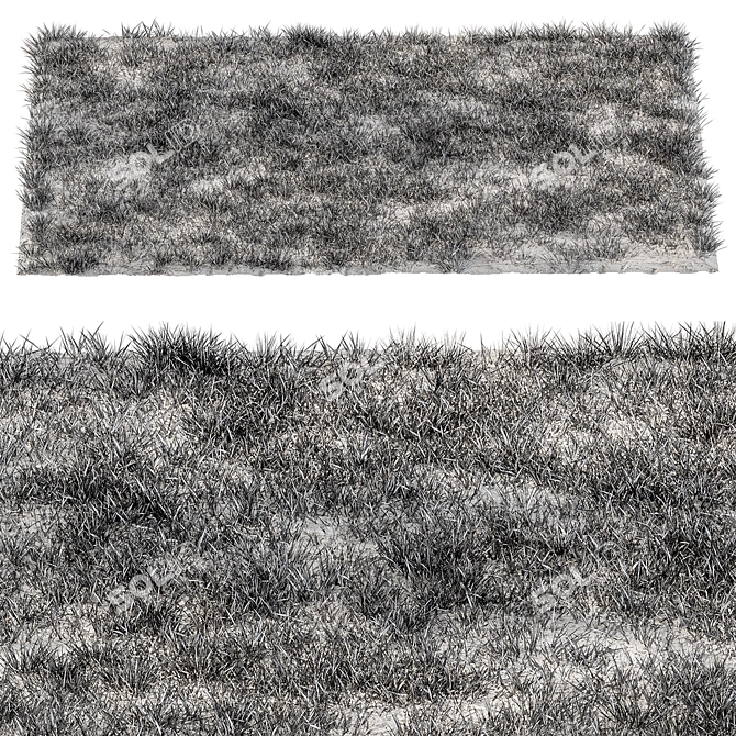 Rectangular Short Grass Set 26 3D model image 5