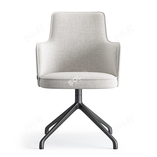 Dale Swivel Armchair by Lavsit 3D model image 2