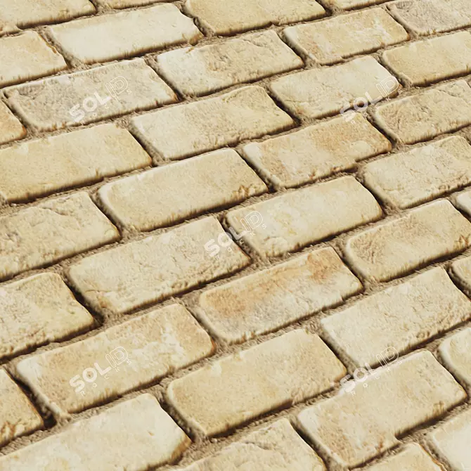  Natural Terrakotta Brick Texture Pack 3D model image 3