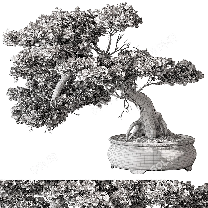 Mini Bonsai Tree 584 3D model image 5