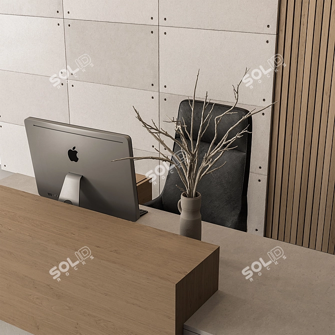 Topiary Ball Outdoor Plants 3D model image 3