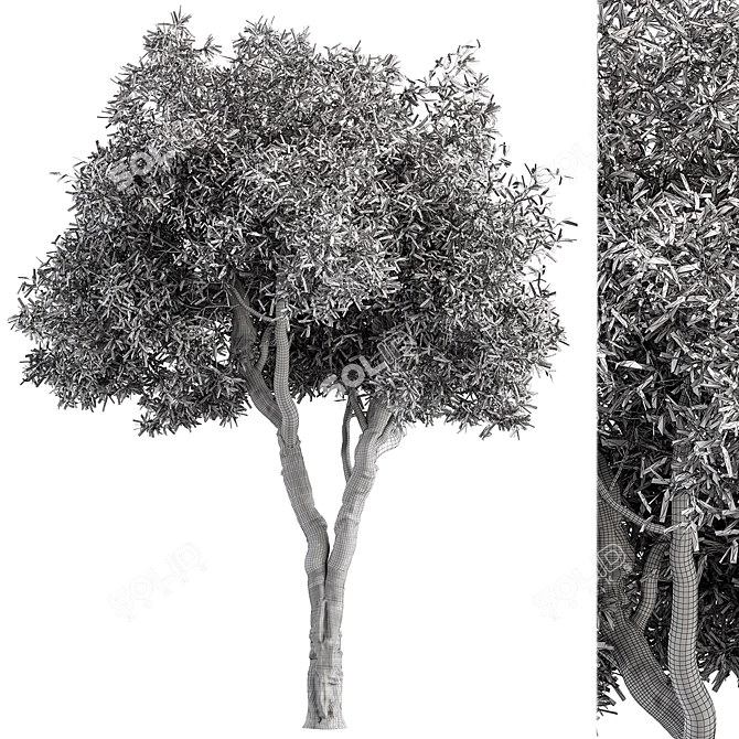 RedGum Tree Set - 216 3D model image 4