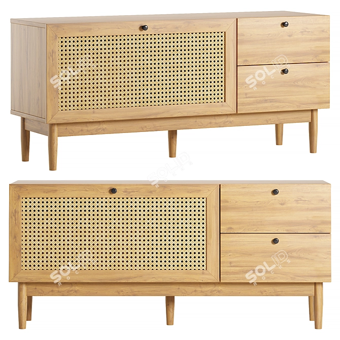 Roshal TV Cabinet in Wood 3D model image 1