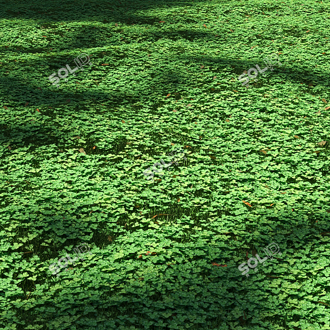 Lush Clover Lawn Asset Kit 3D model image 1