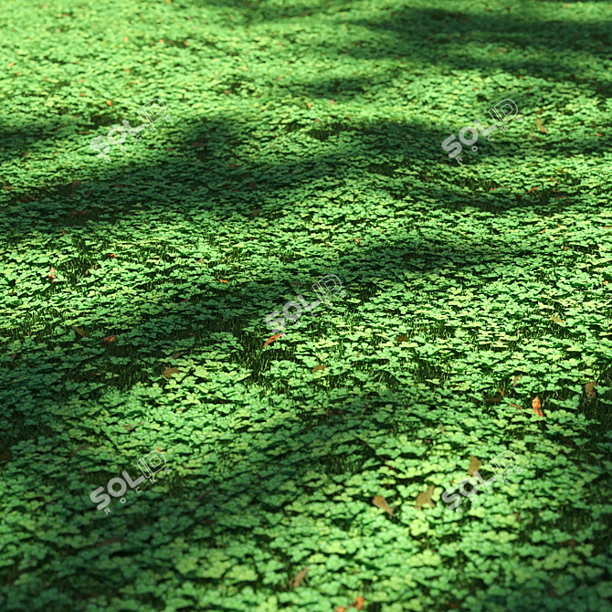 Lush Clover Lawn Asset Kit 3D model image 3