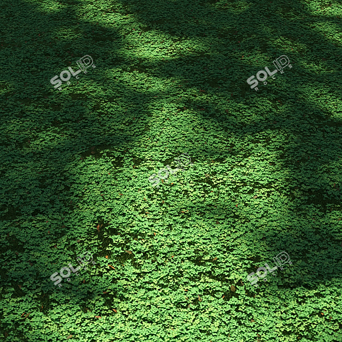 Lush Clover Lawn Asset Kit 3D model image 4