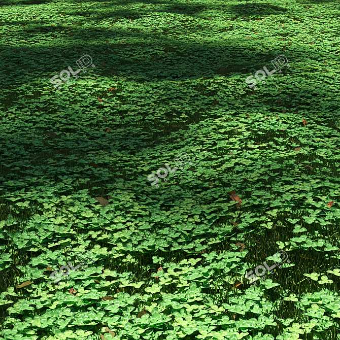 Lush Clover Lawn Asset Kit 3D model image 5