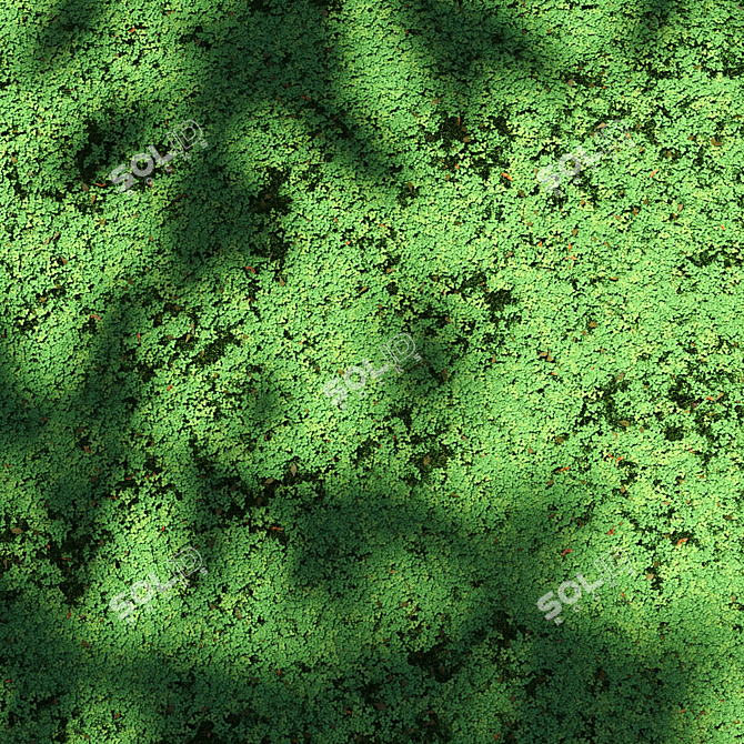 Lush Clover Lawn Asset Kit 3D model image 6