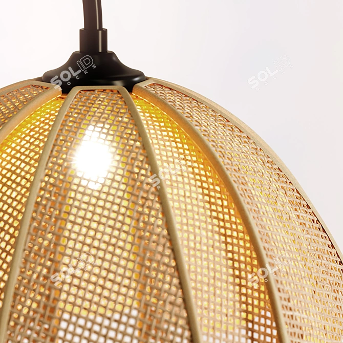 Rattan and Metal Petal Wall Sconce 3D model image 4