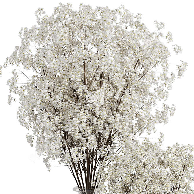 Versatile Baby's Breath Floral Bouquet 3D model image 4